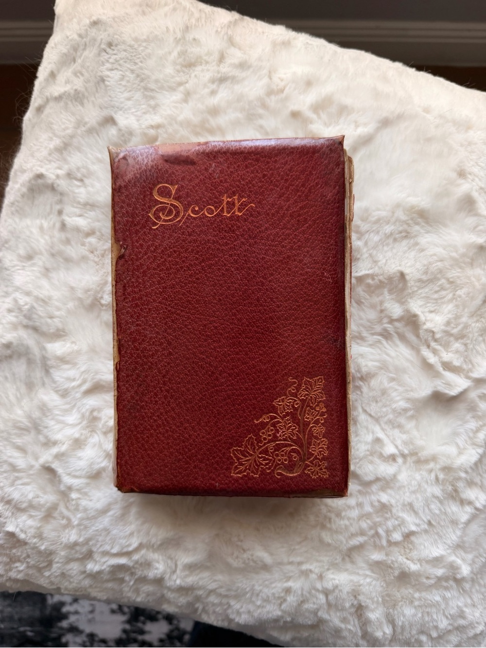 Vintage 1894 Sir Walter Scott Complete Poetical Works Leather Antique Book